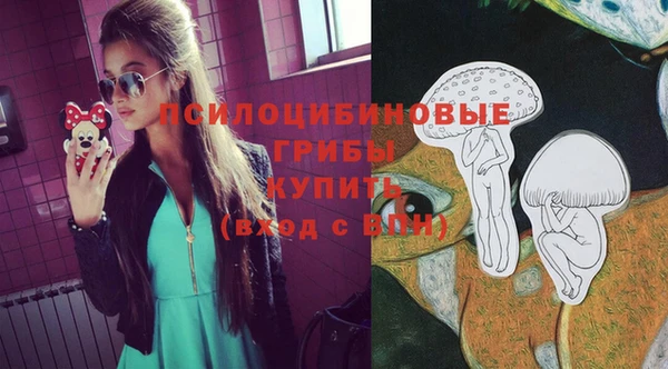 мяу мяу мука Арсеньев