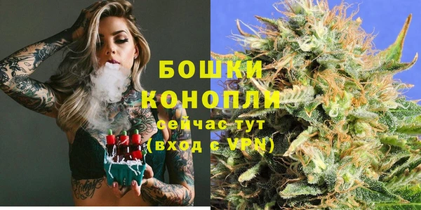 гидра Армянск