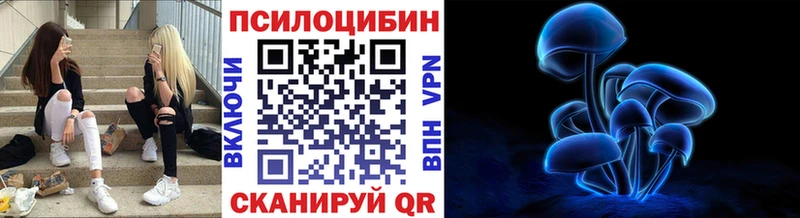 Псилоцибиновые грибы мухоморы Новоульяновск